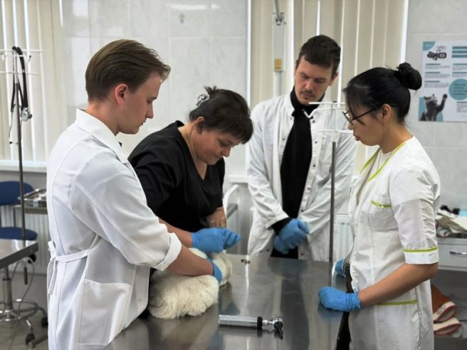 Студенты проходят практику в госветслужбе Севастополя