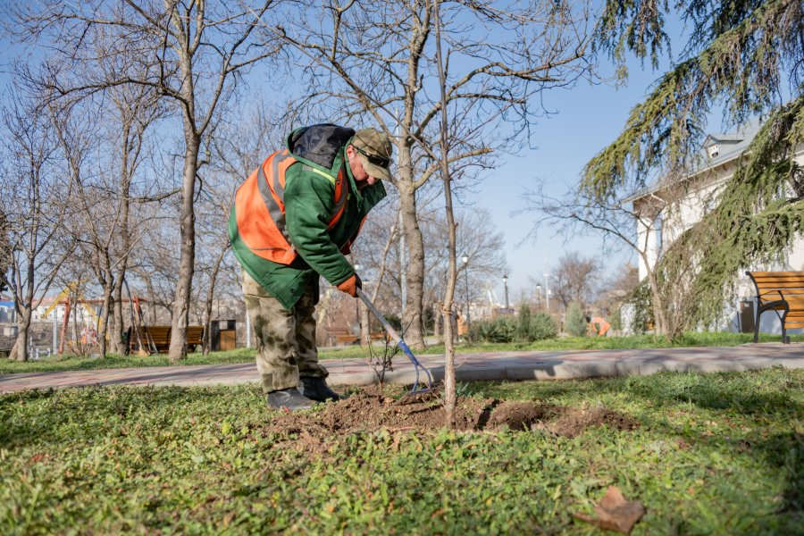 Специалисты «Парков и скверов» начали весенние уходные работы в сквере Корабела Бутомы