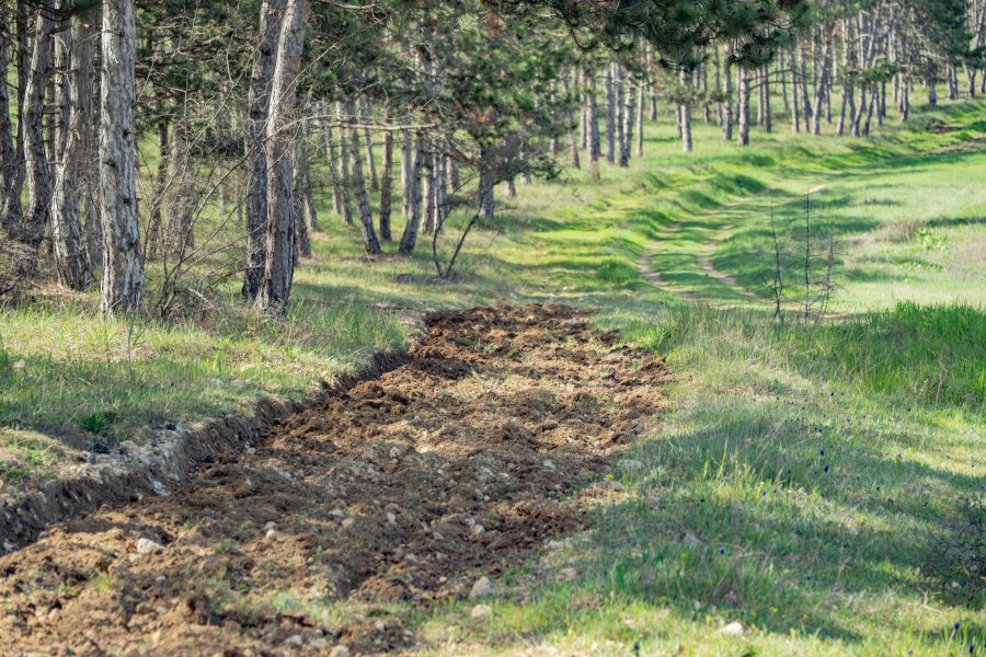 В лесах Севастополя обновляют противопожарные барьеры