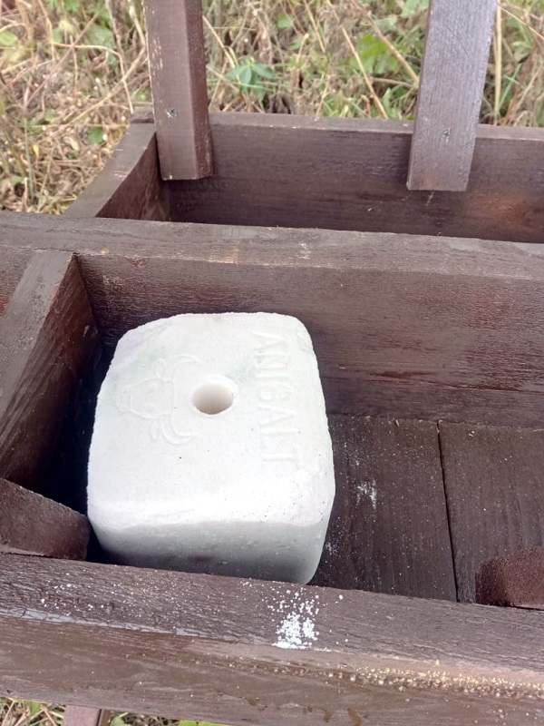 IMAG0072