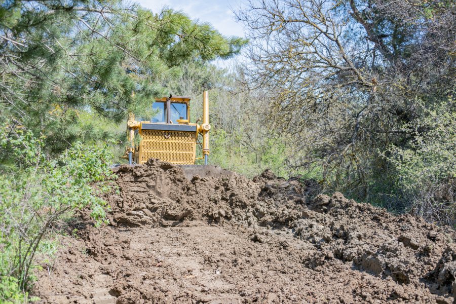 В Севастополе реконструируют лесные дороги