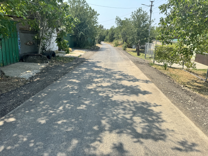 mindalnaa