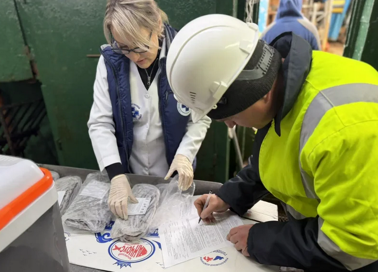 В Севастополе следят за качеством черноморской рыбы