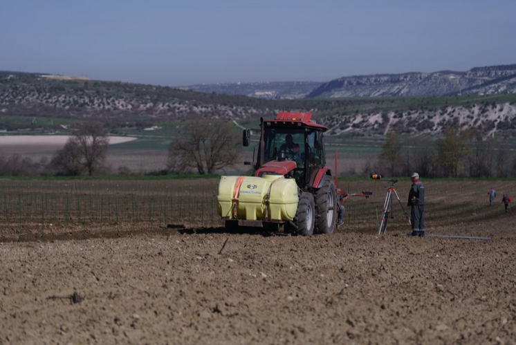 В Балаклавском районе обновляют виноградники
