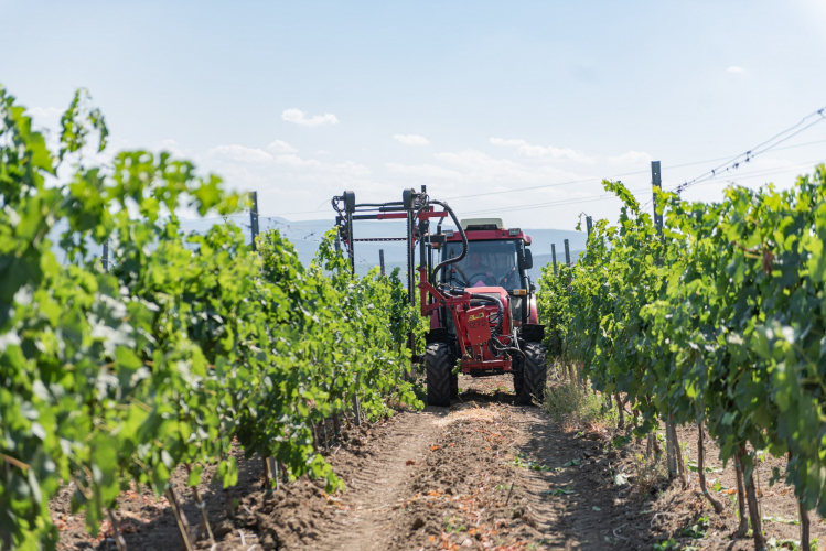 vinogtraktor