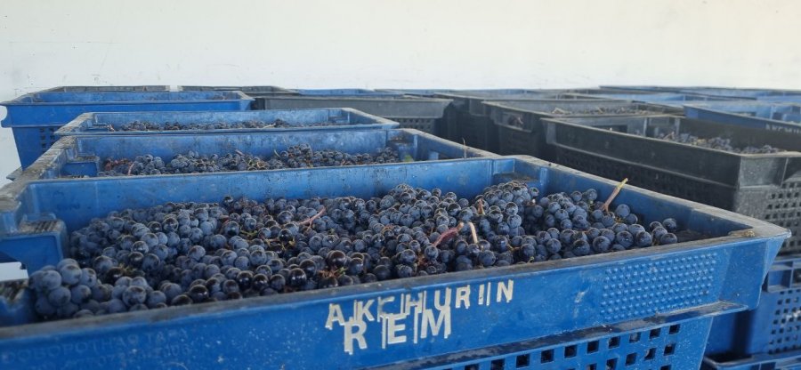 vinsobran