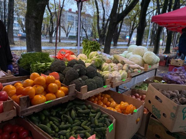 yarmarka produkty
