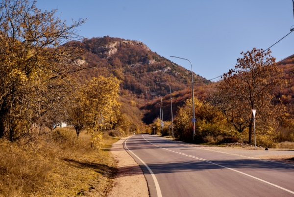 lesa