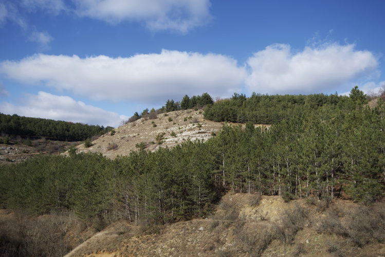 lespoj
