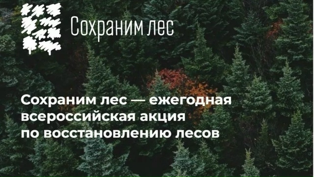 Свыше 7 тысяч лесных деревьев Севприроднадзор высадит в 2026 году