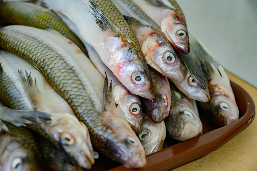 С начала года 1,5 тонны рыбы продано в рамках программы «Рыбный день»