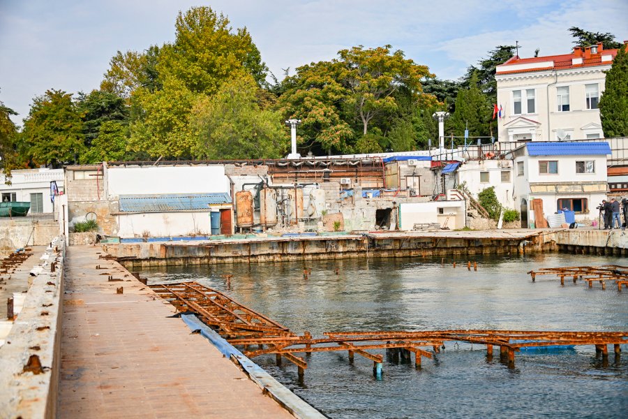 delfinarii