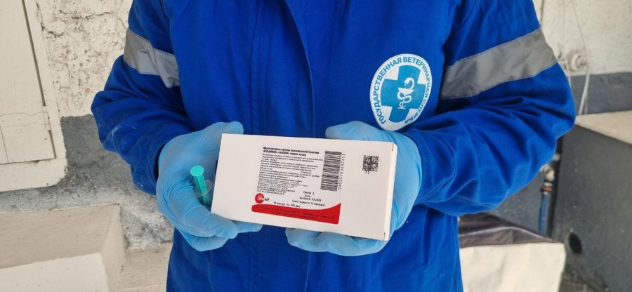 Фото © Пресс-службы Губернатора и Правительства Севастополя vakzinac