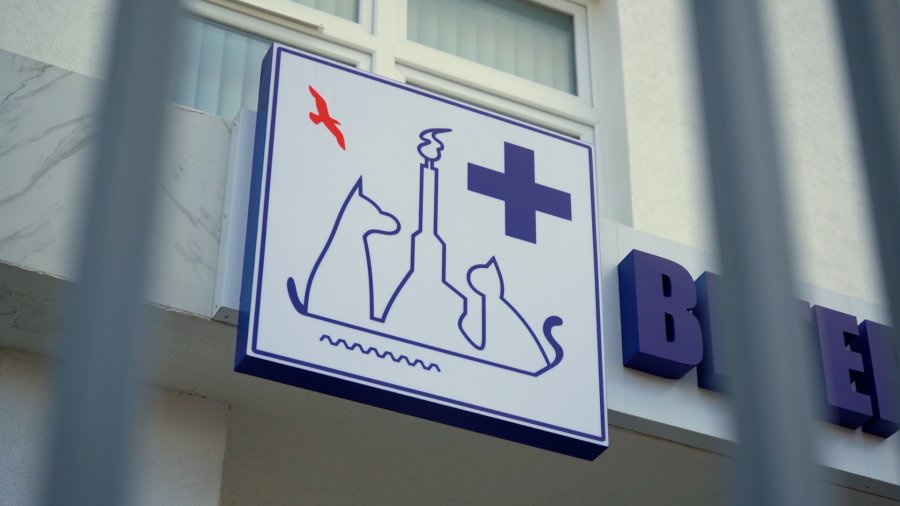 vetklinika
